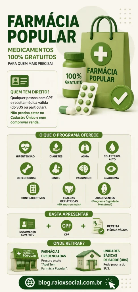 infográfico sobre o programa farmácia popular com todos os detalhes sobre.